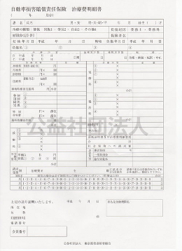 自賠責治療費明細書